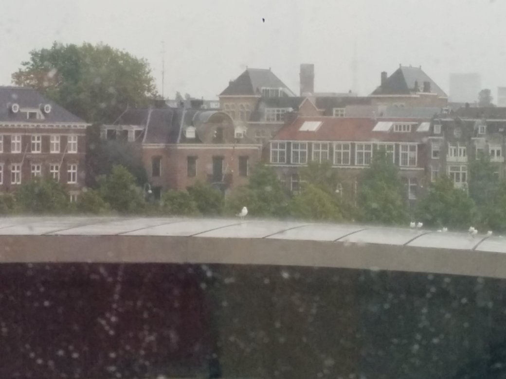 Watching raindrops and doves from Van Gogh Museum.